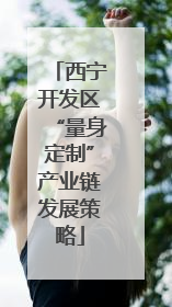 西宁开发区“量身定制”产业链发展策略