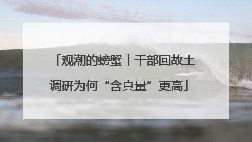 观潮的螃蟹丨干部回故土调研为何“含真量”更高