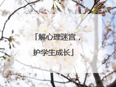 解心理迷宫，护学生成长