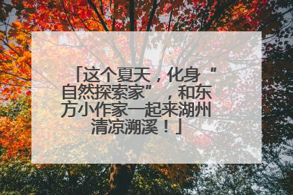 这个夏天，化身“自然探索家”，和东方小作家一起来湖州清凉溯溪！