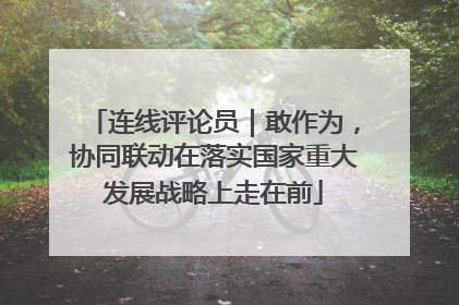 连线评论员｜敢作为，协同联动在落实国家重大发展战略上走在前