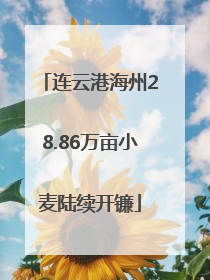 连云港海州28.86万亩小麦陆续开镰
