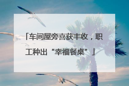 车间屋旁喜获丰收，职工种出“幸福餐桌”