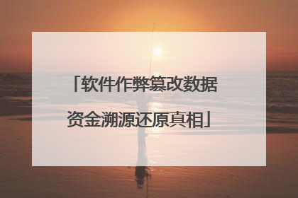 软件作弊篡改数据 资金溯源还原真相