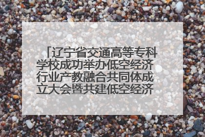 辽宁省交通高等专科学校成功举办低空经济行业产教融合共同体成立大会暨共建低空经济产教融合新生态论坛