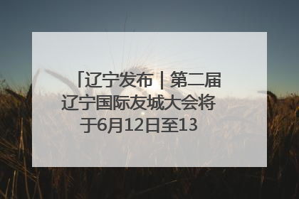 辽宁发布｜第二届辽宁国际友城大会将于6月12日至13日在沈阳举办