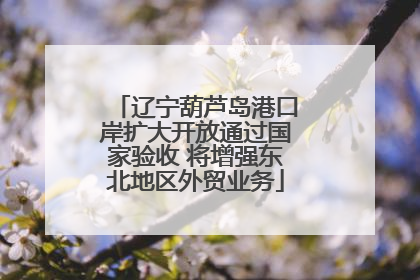 辽宁葫芦岛港口岸扩大开放通过国家验收 将增强东北地区外贸业务