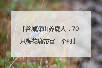 谷城深山养鹿人：70只梅花鹿带富一个村