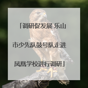调研促发展 乐山市少先队鼓号队走进凤凰学校进行调研