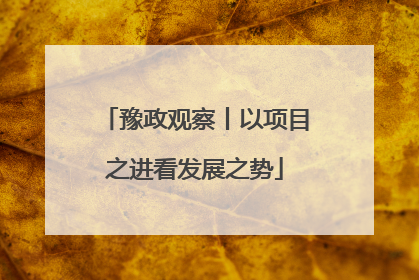 豫政观察丨以项目之进看发展之势