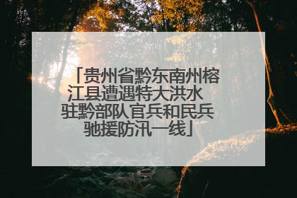 贵州省黔东南州榕江县遭遇特大洪水 驻黔部队官兵和民兵驰援防汛一线