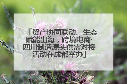 贸产协同联动、生态赋能出海，跨境电商·四川制造源头供需对接活动在成都举办