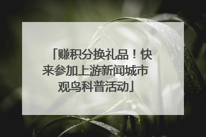 赚积分换礼品！快来参加上游新闻城市观鸟科普活动