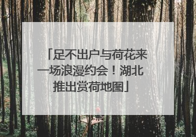 足不出户与荷花来一场浪漫约会！湖北推出赏荷地图