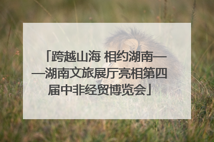 跨越山海 相约湖南——湖南文旅展厅亮相第四届中非经贸博览会