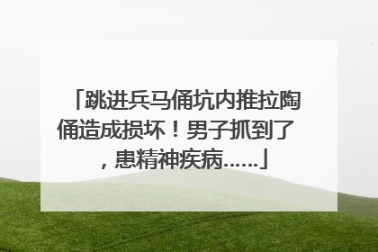 跳进兵马俑坑内推拉陶俑造成损坏！男子抓到了，患精神疾病……