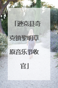 逊克县奇克镇黎明草原音乐节收官