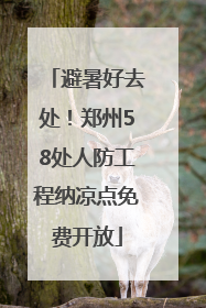避暑好去处！郑州58处人防工程纳凉点免费开放