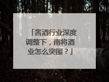 酱酒行业深度调整下，南将酒业怎么突围？