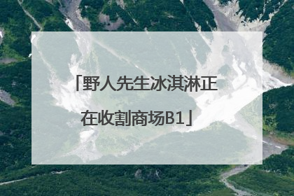 野人先生冰淇淋正在收割商场B1