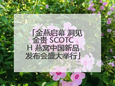 金燕启幕 洞见金贵 SCOTCH 燕窝中国新品发布会盛大举行