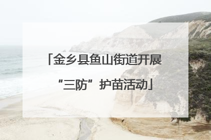 金乡县鱼山街道开展“三防”护苗活动