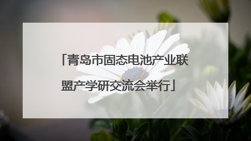 青岛市固态电池产业联盟产学研交流会举行