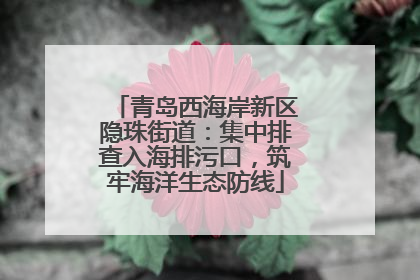 青岛西海岸新区隐珠街道：集中排查入海排污口，筑牢海洋生态防线