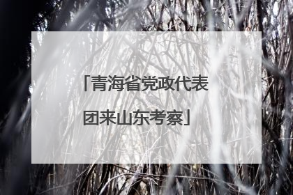青海省党政代表团来山东考察