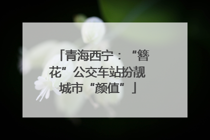 青海西宁：“簪花”公交车站扮靓城市“颜值”