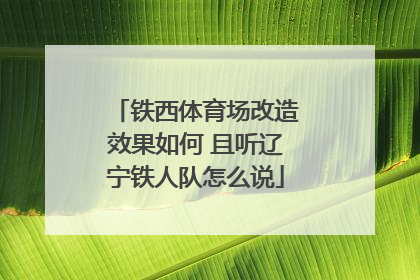 铁西体育场改造效果如何 且听辽宁铁人队怎么说