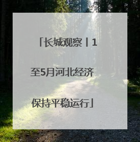 长城观察丨1至5月河北经济保持平稳运行