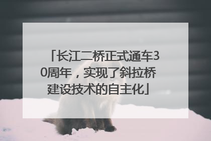 长江二桥正式通车30周年，实现了斜拉桥建设技术的自主化