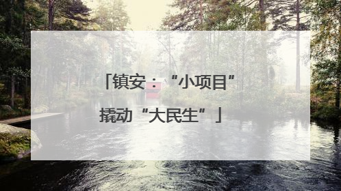 镇安：“小项目”撬动“大民生”