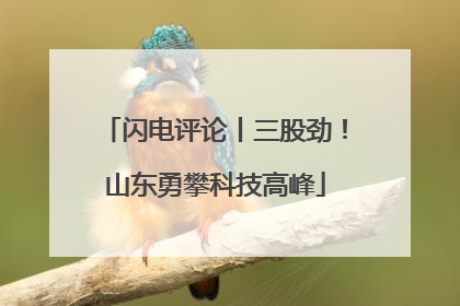 闪电评论丨三股劲！山东勇攀科技高峰
