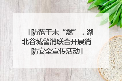 防范于未“燃”，湖北谷城警消联合开展消防安全宣传活动