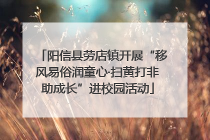 阳信县劳店镇开展“移风易俗润童心·扫黄打非助成长”进校园活动
