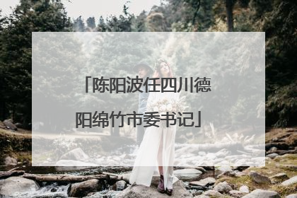 陈阳波任四川德阳绵竹市委书记