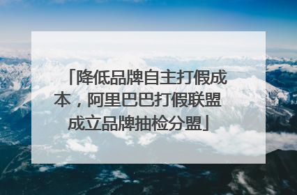 降低品牌自主打假成本，阿里巴巴打假联盟成立品牌抽检分盟
