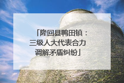 隆回县鸭田镇：三级人大代表合力调解矛盾纠纷