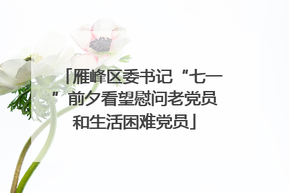 雁峰区委书记“七一”前夕看望慰问老党员和生活困难党员