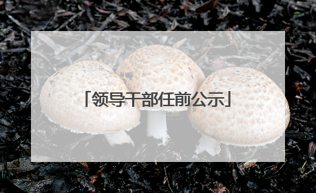 领导干部任前公示