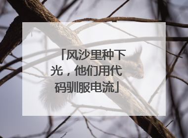 风沙里种下光，他们用代码驯服电流