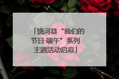 饶河县“我们的节日·端午”系列主题活动启幕