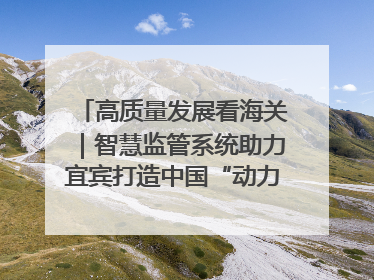 高质量发展看海关｜智慧监管系统助力宜宾打造中国“动力电池之都”