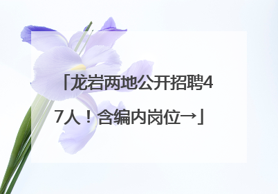 龙岩两地公开招聘47人！含编内岗位→
