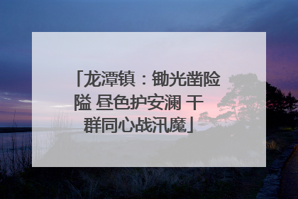 龙潭镇：锄光凿险隘 昼色护安澜 干群同心战汛魔