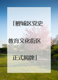 鲤城区党史教育文化街区正式揭牌