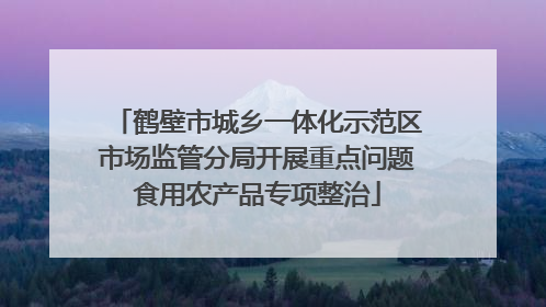 鹤壁市城乡一体化示范区市场监管分局开展重点问题食用农产品专项整治