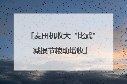 麦田机收大“比武” 减损节粮助增收